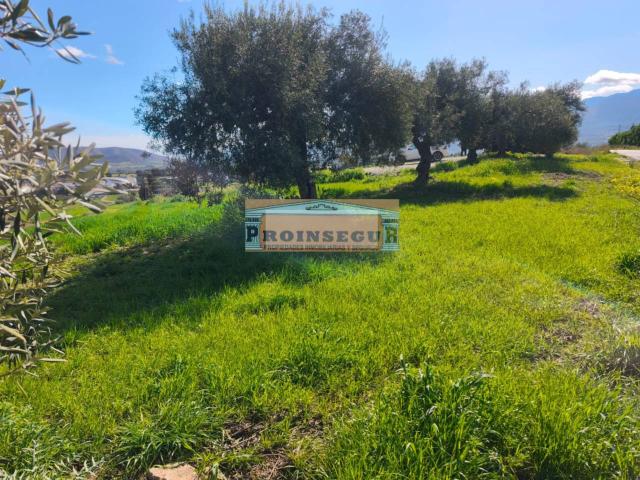 Terreno en venta en Barrio de San Antón, Valle del Guadalhorce