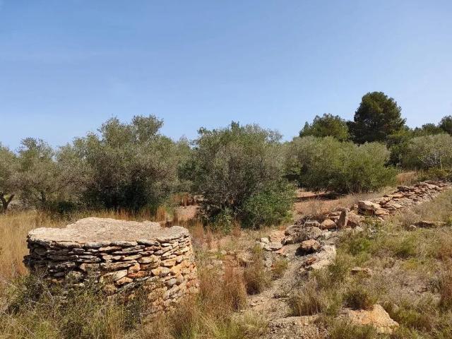 Terreno en venta en Dones de la Mar, el Baix Maestrat