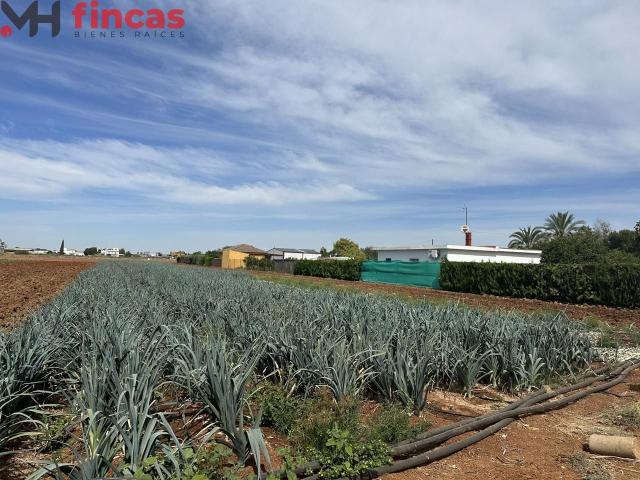 Terreno en alquiler en Sevilla, San Bartolomé
