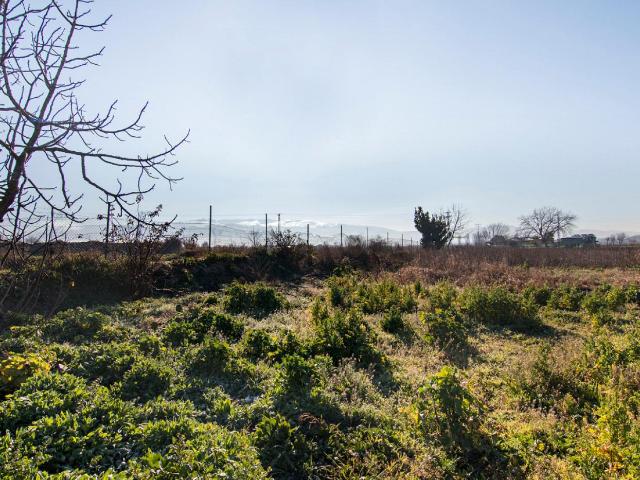 Terreno en venta en Ronda, Comarca de la Vega de Granada