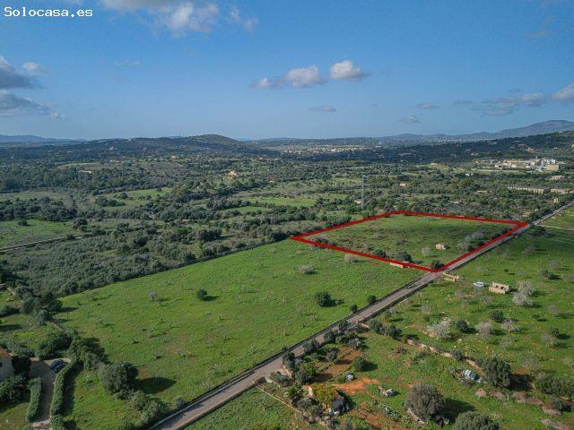 Local Comercial en venta en Llevant, Baleares