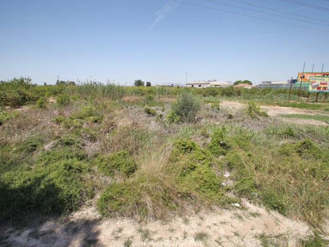 Terreno en venta en el Baix Segura / La Vega Baja, Valencia