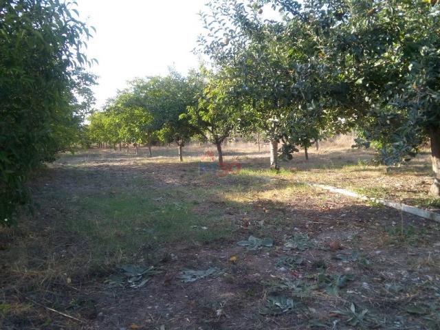 Terreno en venta en Añanako kuadrilla, Guipúzcoa