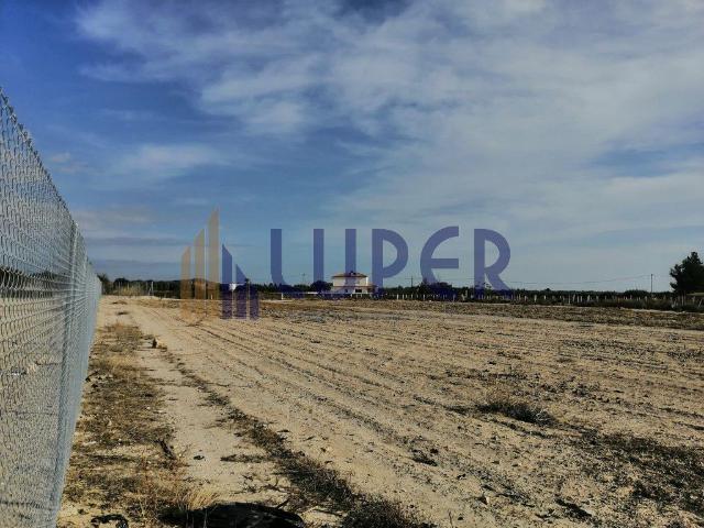 Terreno en venta en Agost