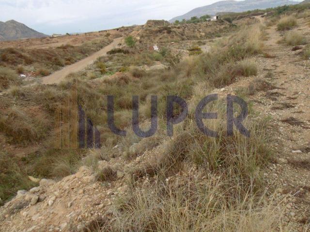 Terreno en venta en Agost