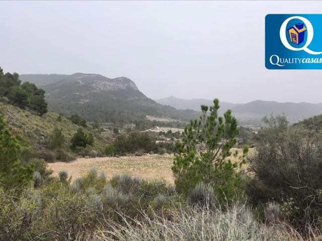 Terreno en venta en l'Alcoià, Valencia
