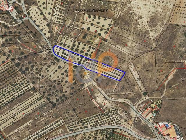 Terreno en venta en Valle del Almanzora, Andalucía