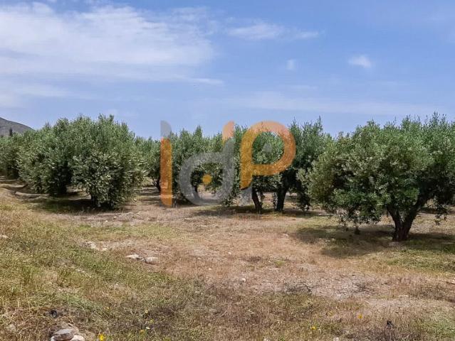 Terreno en venta en La Atalaya, Huércal-overa