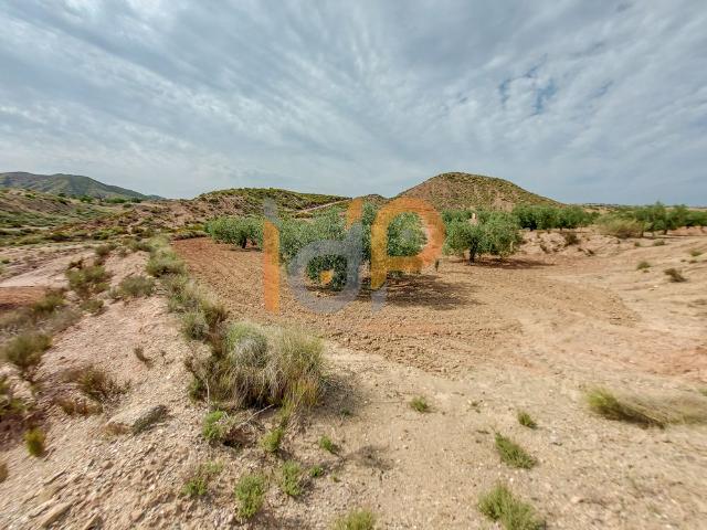 Terreno en venta en La Alfoquia, Valle del Almanzora