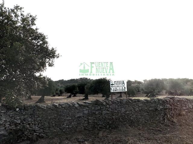 Terreno en venta en Segura De León