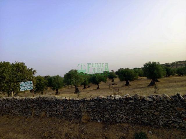 Terreno en venta en Segura De León, Extremadura