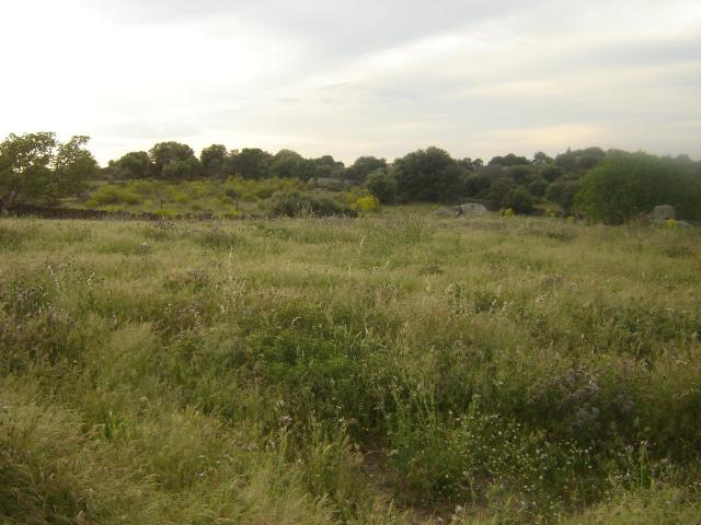 Terreno en venta en Trujillo, Extremadura