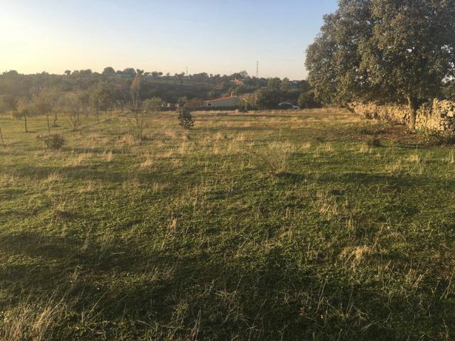 Terreno en venta en Trujillo, Extremadura