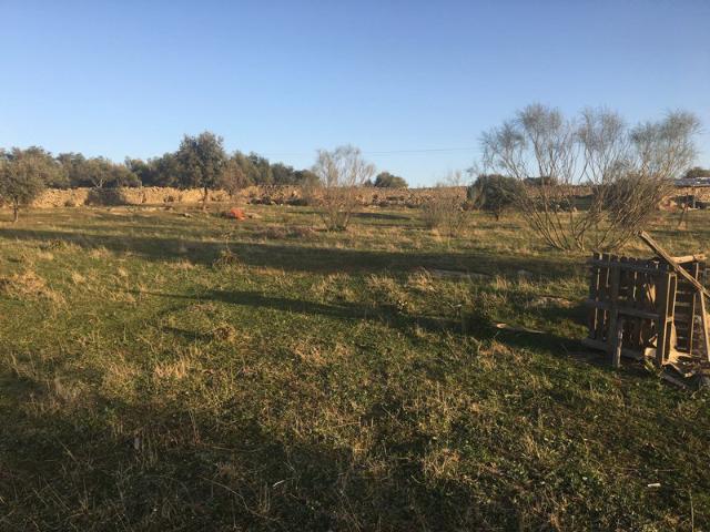 Terreno en venta en Trujillo, Extremadura
