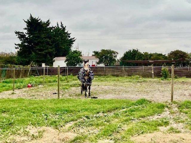 Terreno en venta en San Enrique de Guadiaro, Campo de Gibraltar