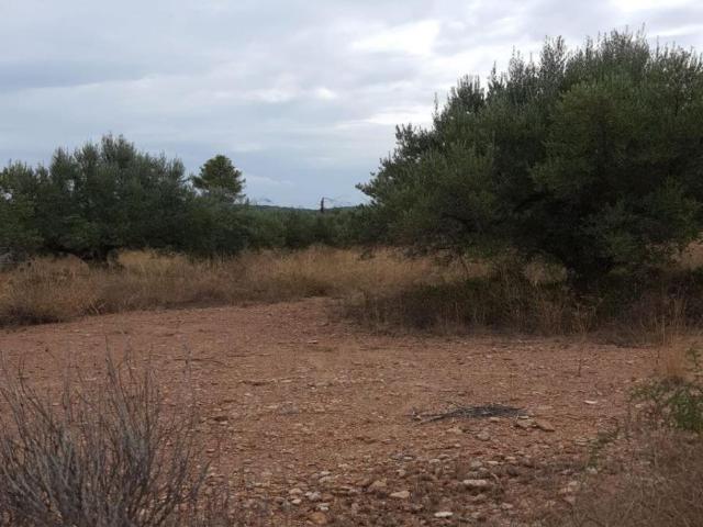 Terreno en venta en l'Alt Palància, Valencia