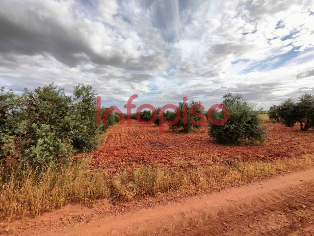Terreno en venta en Torrenueva, Castilla-La Mancha