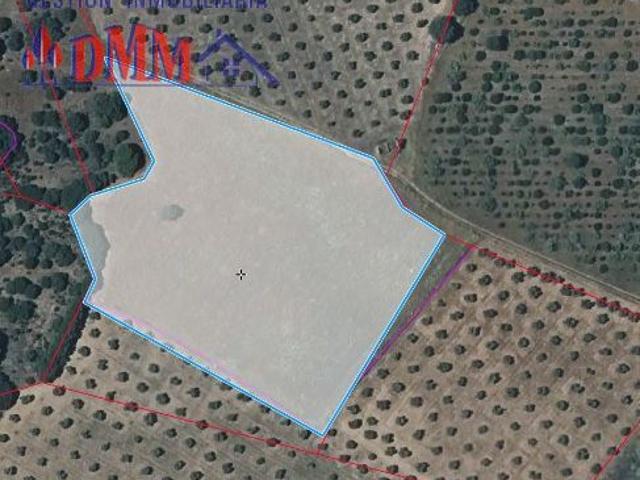 Terreno en venta en Malagón, Castilla-La Mancha