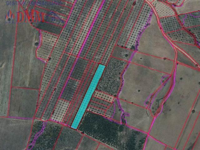 Terreno en venta en Malagón, Castilla-La Mancha