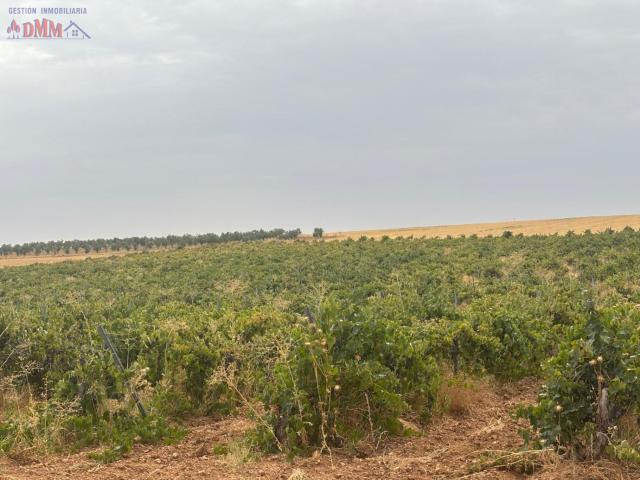 Terreno en venta en Fernán Caballero, Castilla-La Mancha