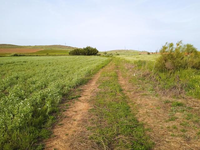 Terreno en venta en Poblete, Castilla-La Mancha