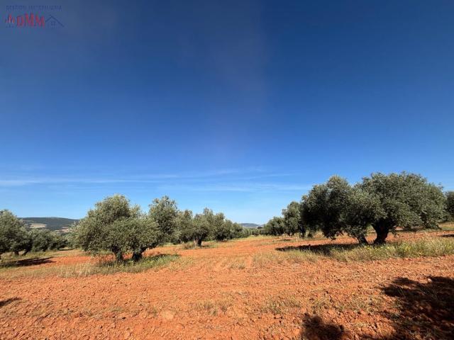 Terreno en venta en Malagón, Castilla-La Mancha