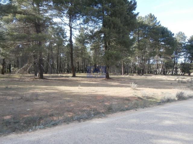Terreno en venta en Fuentenava De Jábaga, Cuenca