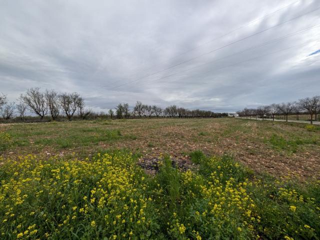 Terreno en venta en Barrio Alto, Comarca de Loja