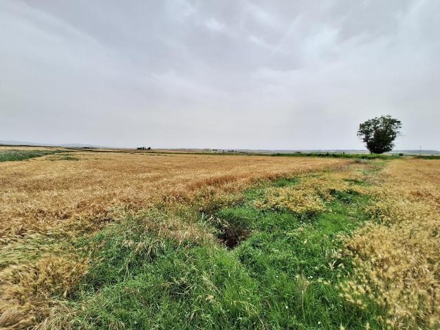 Terreno en venta en La Litera / La Llitera, Altorricón