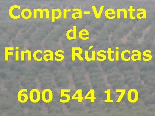 Terreno en venta en Baeza, Jaén