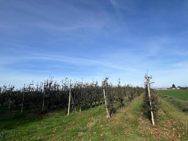 Terreno en venta en Pla d'Urgell, Catalunya