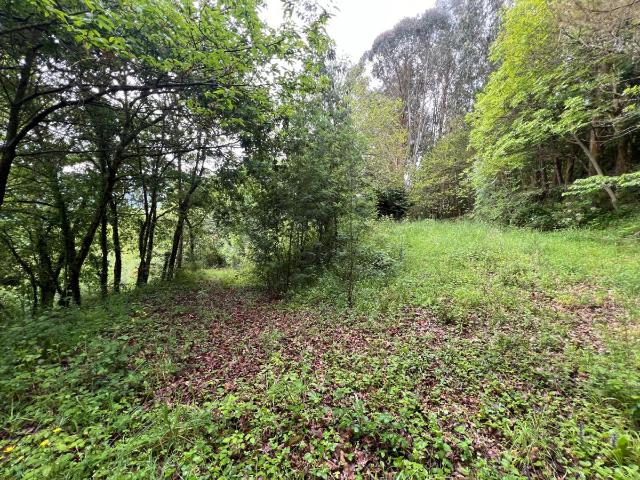 Terreno en venta en Baralla