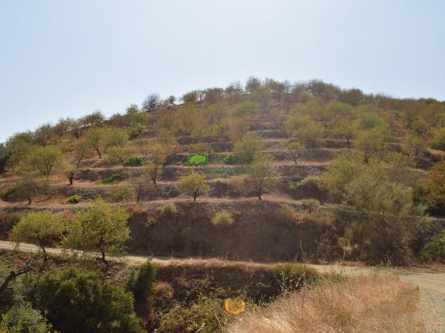 Terreno en venta en Sedella Terreno en venta en Sedella