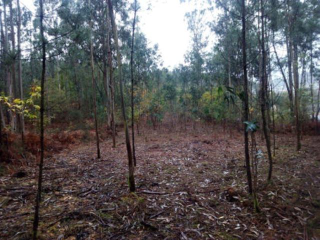 Terreno en venta en Casco Antigo, Pontevedra