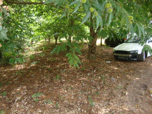Terreno en venta en Pontevedra, Casco Antigo