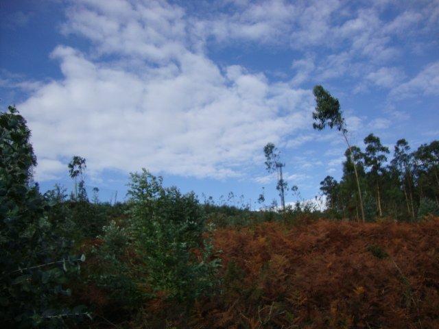 Terreno en venta en Pontevedra, Casco Antigo