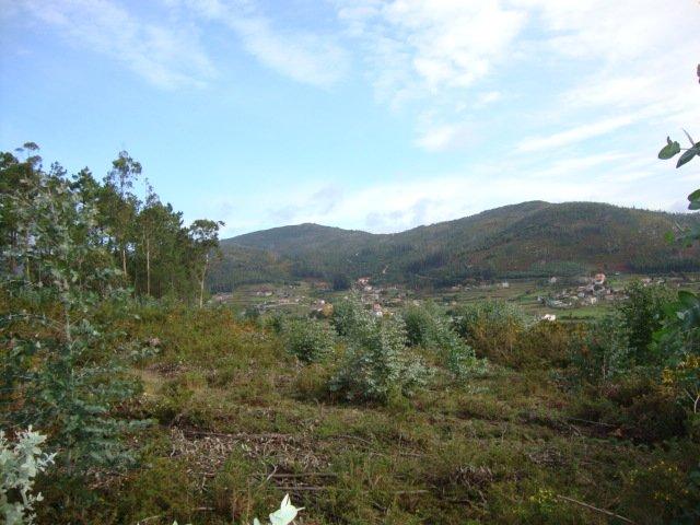 Terreno en venta en Casco Antigo, Pontevedra