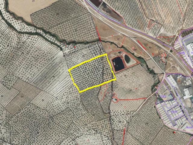 Terreno en venta en Morón De La Frontera, Andalucía