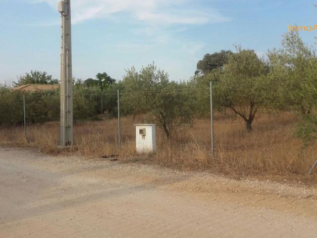 Terreno en venta en Morón De La Frontera, Andalucía
