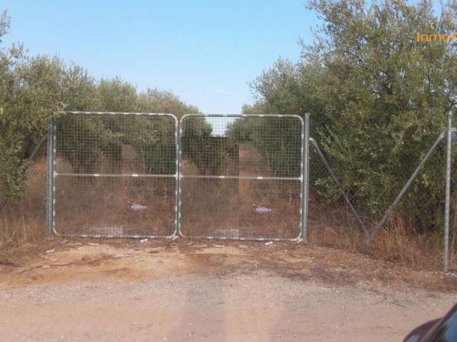 Terreno en venta en Morón De La Frontera, Andalucía