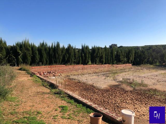 Terreno en venta en Alcolea Del Río, Andalucía