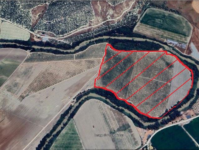 Terreno en venta en Écija, Andalucía