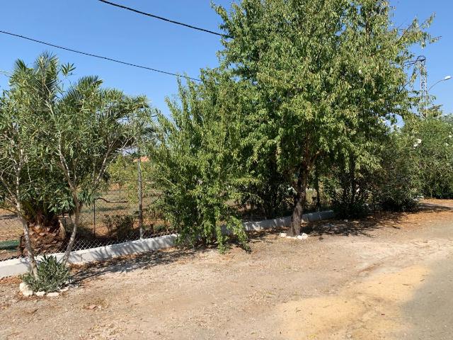 Terreno en venta en Morón De La Frontera, Andalucía