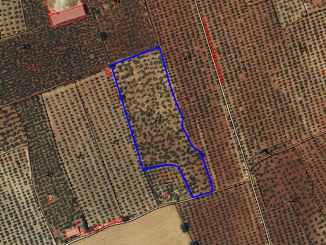 Terreno en venta en Morón De La Frontera, Andalucía