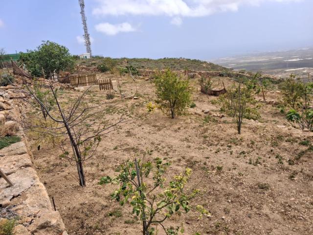 Terreno en venta en Arico Viejo, Arico