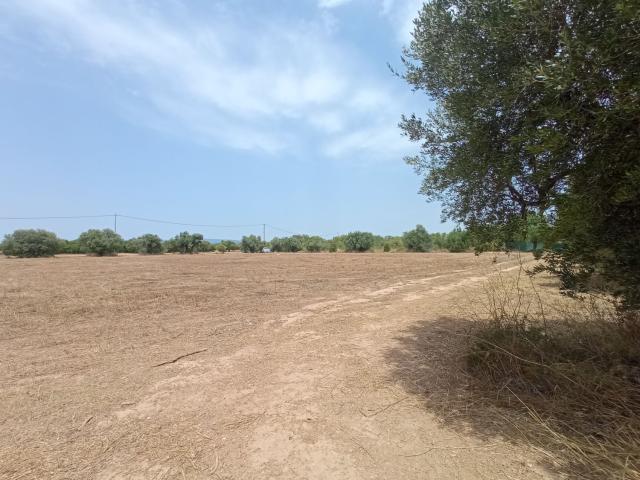 Terreno en venta en Tarragonès, Catalunya