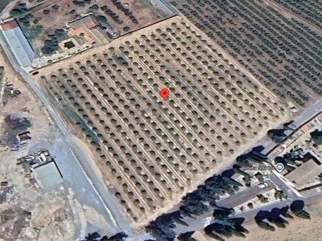 Terreno en venta en Ribera d'Ebre, Catalunya