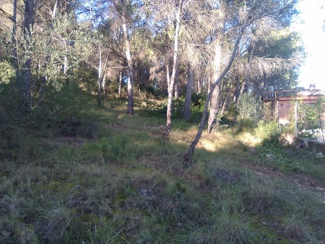 Terreno en venta en el Camp de Morvedre, Valencia