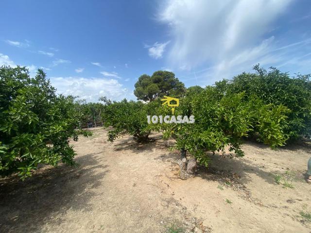 Terreno en venta en la Ribera Baixa, Valencia