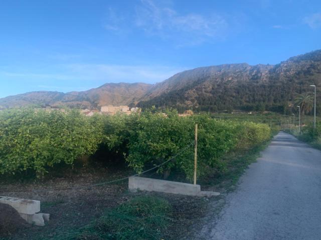 Terreno en venta en Los Ramos, Área Metropolitana de Murcia